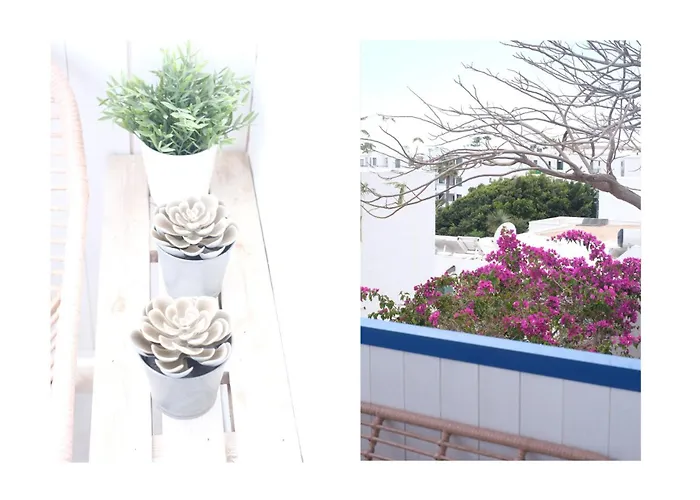 Holiday home Barraquito - 100m To Playa De Cucharas By Lanzarote Costa Teguise